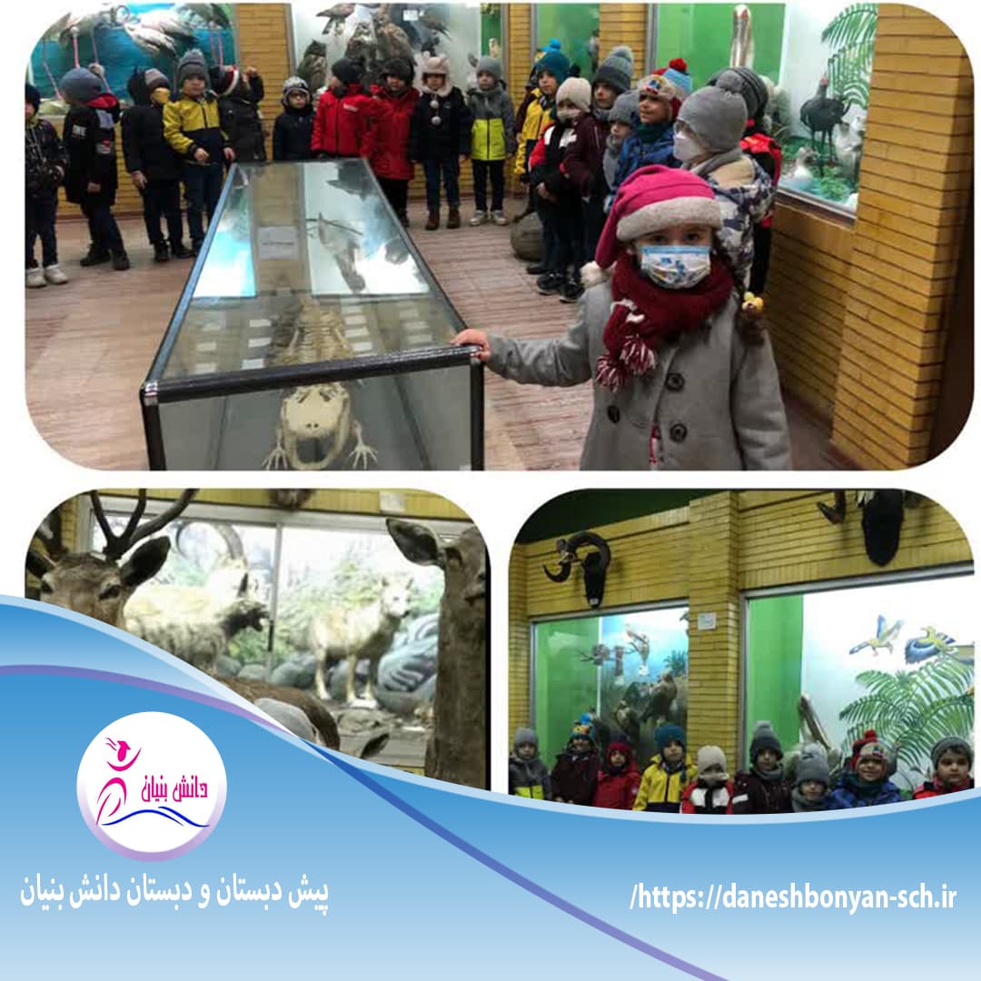 پیش دبستان و دبستان دانش بنیان 